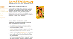 Desktop Screenshot of bernhard-breuer.de